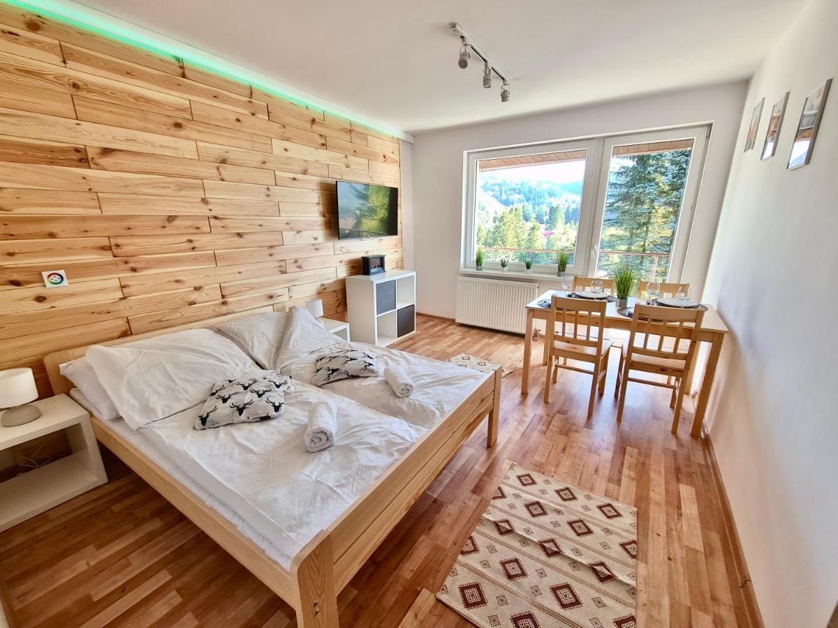 Apartamenty Willa Naskarpie Jacuzzi Sauna Basen Wisła Exteriör bild